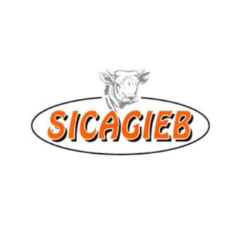 Logo Sicagieb