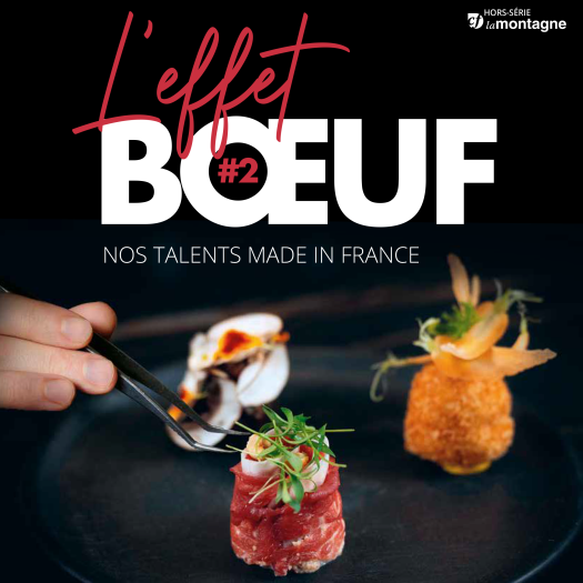 Couverture l'Effet Bœuf 2