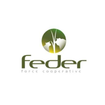 Logo FEDER