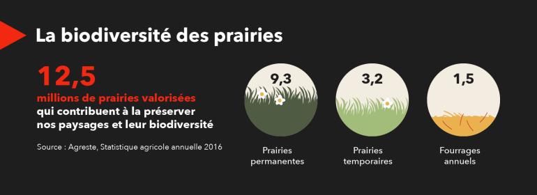 La biodiversité des prairies Puigrenier