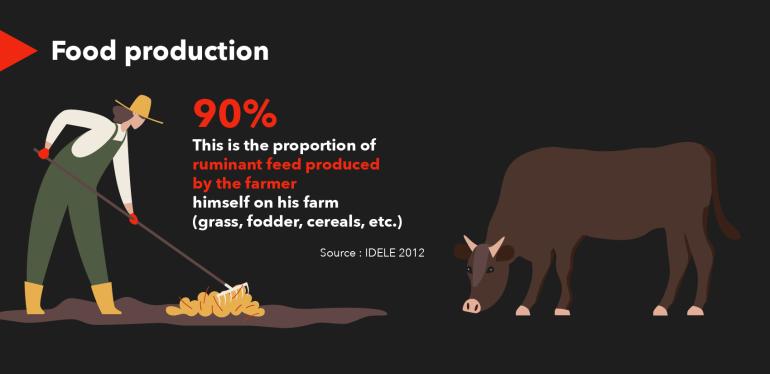 Food production